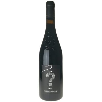 Saumur Champigny L&rsquo;Inconnu 2024, Domaine des Varinelle